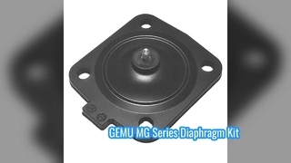 GEMU MG8 MG10 MG25 MG40 MG50 MG65 MG80 MG100 EPDM FDA Membransätze für GEMU Membranventile